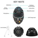  Flame Atmosphere Loa bluetooth kiêm Đèn LED Chiếu sáng Ngọn đuốc ngoài trời Với âm thanh HD -dc2502 