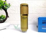  Micro thu âm Woaichang bm900 -DC3406 