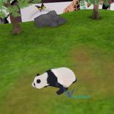  Bộ thẻ học thông minh animal 4D Miaotu world 61 thẻ chính kèm 3 thẻ phụ Gồm 15 ngôn ngữ Hàng thẻ xịn -dc3623 