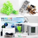 Bể Cá Mini Hồ Cá Cảnh Mini Kiêm Đồ Hồ Để Bàn Siêu Đẹp (Tặng Kèm Đá Và Cây Cảnh) 