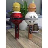  MIC KARAOKE WS 878 -dc2488 