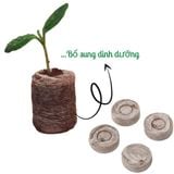  Viên nén xơ dừa, 10, 20, 50 viên, ươm hạt giống trồng cây, ươm hạt, ươm cây giống, trồng dâu tây, thuỷ canh -dc5066 
