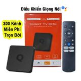  Tivi Box Q1 Android TV 12 Crack Điều Khiển Giọng Nói 200 Kênh Miễn Phí Wifi Kép Bluetooth RAM 2GB+8G 