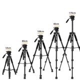  Tripod ZOMEI Q310 chuyên nghiệp cho chân máy ảnh SLR hợp kim nhôm ,kéo dài 170cm -dc4903 