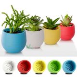  chậu cây mini cute thông minh để bàn dễ thương trang trí văn phòng nhà cửa giá rẻ chất liệu nhựa pp cao cấp 