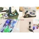  Bể Cá Mini Hồ Cá Cảnh Mini Kiêm Đồ Hồ Để Bàn Siêu Đẹp (Tặng Kèm Đá Và Cây Cảnh) 