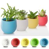  Chậu hoa nhựa mini/Chậu Cây Mini Có Đáy Trữ Nước - Đa dạng màu sắc - Trang trí nhà cửa, văn phòng tuyệt đẹp 