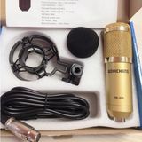  Mic thu âm BM900 MICRO Hát LIVESTREAM dành cho soundcard - hát cực nhẹ, âm thanh hay, lọc ồn tốt 