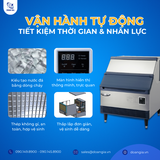  Máy Làm Đá 100kg/Ngày, Nhập Khẩu Hàn Quốc, LASSELE LUI-250A 