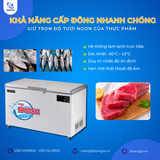  Tủ Cấp Đông Âm Sâu (Cá Ngừ), Dung Tích 400L, Âm 50°C LASSELE LOC-521F 