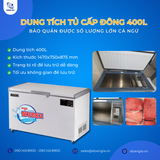 Tủ Cấp Đông Âm Sâu (Cá Ngừ), Dung Tích 400L, Âm 50°C LASSELE LOC-521F 