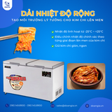  Tủ Lạnh Bảo Quản Kim Chi, Dung Tích 550L, Hàn Quốc, LASSELE LOK-6211R 