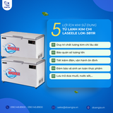  Tủ Lạnh Kim Chi Dung Tích 350L, Chính Hãng Hàn Quốc LASSELE LOK-3811R 