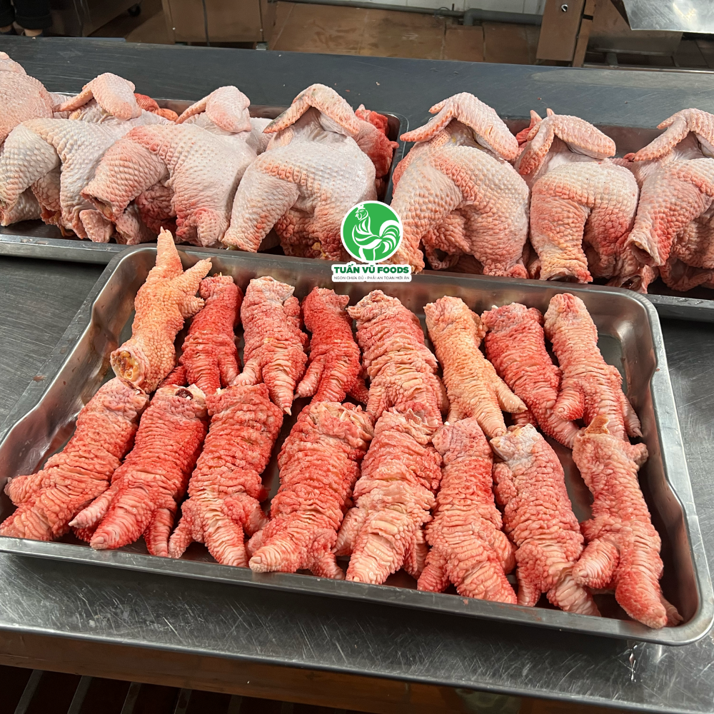  Chân Gà Đông Tảo ( Size VIP ) 