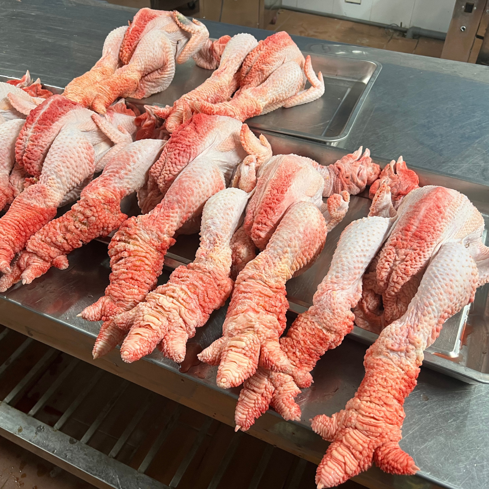  Gà Đông Tảo ( Loại Đặc Biệt - Sơ Chế ) 