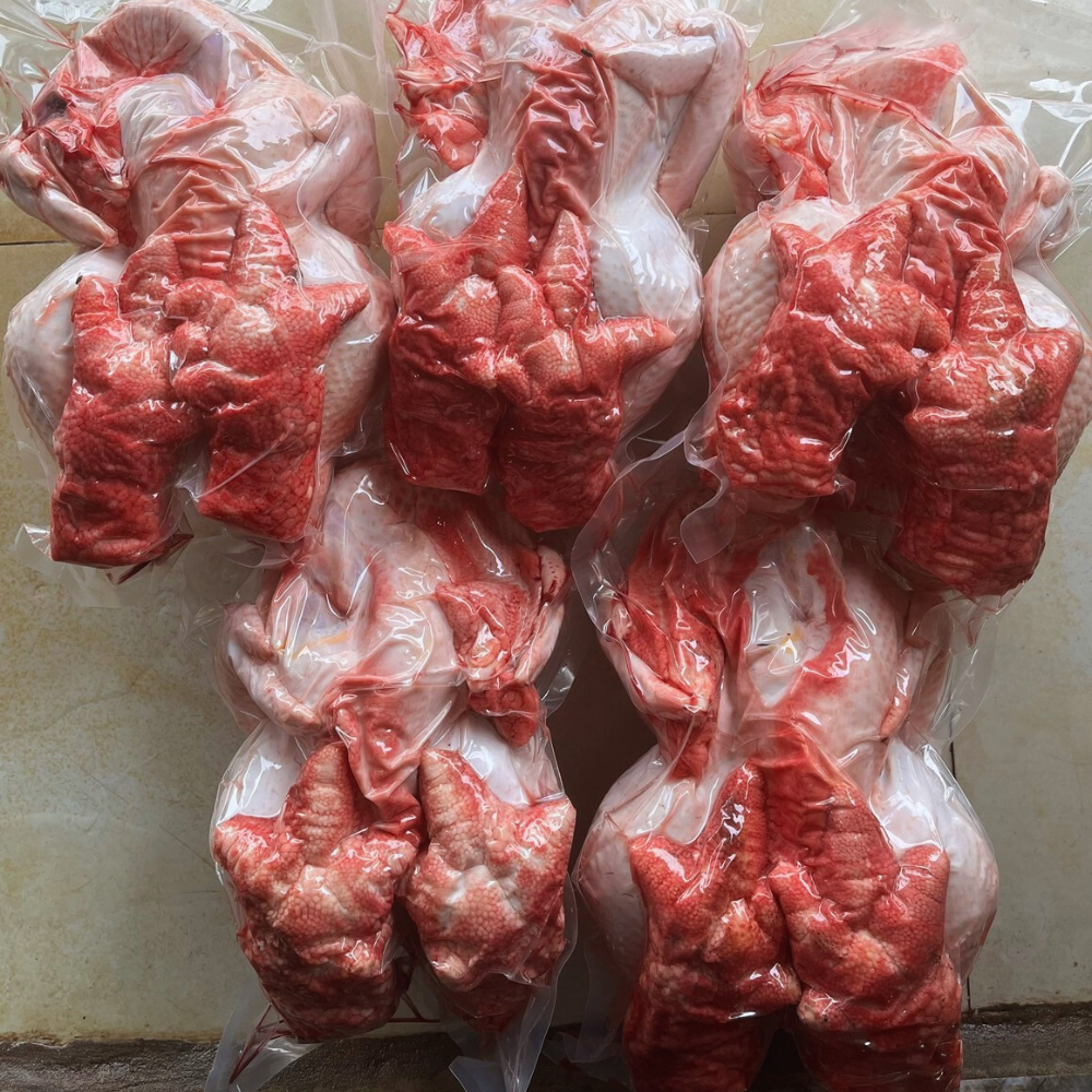  Gà Đông Tảo ( Loại Đặc Biệt - Sơ Chế ) 