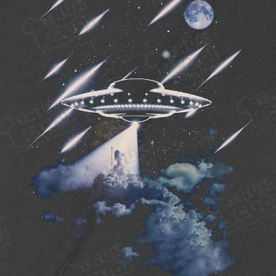  Áo thun Taylor Swift - A Fortnight in Paris, Trùm Cuối Thần Tượng Âm Nhạc, Unisex Cotton 100% 2 màu nam nữ 0431 