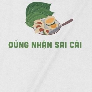  Áo thun Đúng Nhận Sai Cãi, Trùm cuối Meme, Unisex Cotton 100% 2 màu nam nữ 0233 