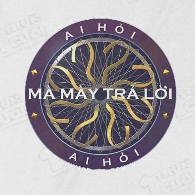  Áo thun Ai Hỏi?, Trùm Cuối Meme, Unisex Cotton 100% 2 màu nam nữ 0418 