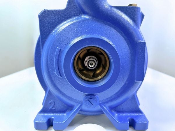 MÁY BƠM LƯU LƯỢNG ADELINO ACm110C2 - 1.5HP