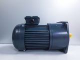 MOTOR GIẢM TỐC MẶT BÍCH TÂN THÀNH TÀI - 0.75KW - 1HP