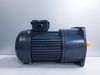 MOTOR GIẢM TỐC MẶT BÍCH TÂN THÀNH TÀI - 0.75KW - 1HP
