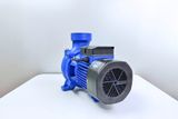 MÁY BƠM LƯU LƯỢNG ADELINO ACm110D3 - 1.5HP