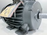 MOTOR CHÂN ĐẾ TECO - 1.5KW - 2HP