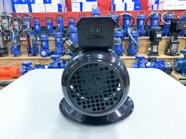 MOTOR ĐẦM DÙI BÊ TÔNG