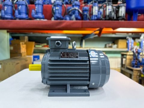 ĐỘNG CƠ MOTOR ĐIỆN 3 PHA TÂN THÀNH TÀI