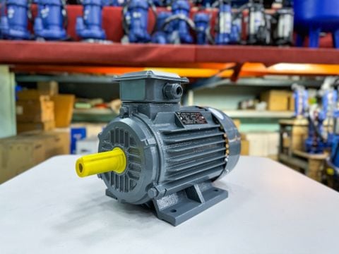 ĐỘNG CƠ MOTOR ĐIỆN 3 PHA TÂN THÀNH TÀI