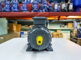 ĐỘNG CƠ MOTOR ĐIỆN 3 PHA TÂN THÀNH TÀI