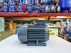 ĐỘNG CƠ MOTOR ĐIỆN 3 PHA TÂN THÀNH TÀI