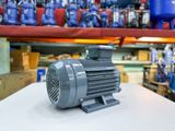 ĐỘNG CƠ MOTOR ĐIỆN 3 PHA TÂN THÀNH TÀI