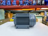 ĐỘNG CƠ MOTOR ĐIỆN 3 PHA TÂN THÀNH TÀI