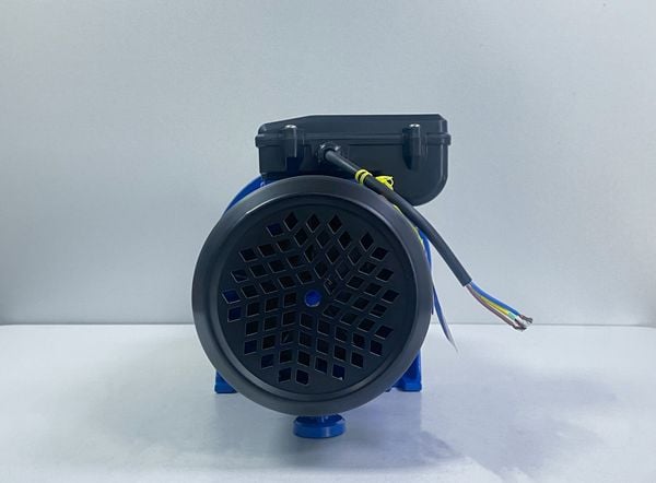 MÁY BƠM NƯỚC ĐẨY XA  ADELINO AJS55H