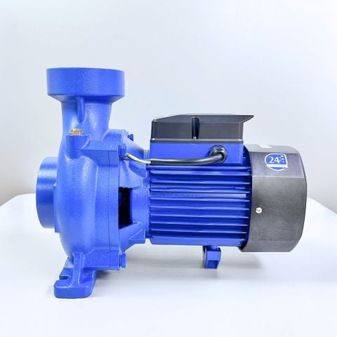 MÁY BƠM LƯU LƯỢNG ADELINO ACm110D3 - 1.5HP