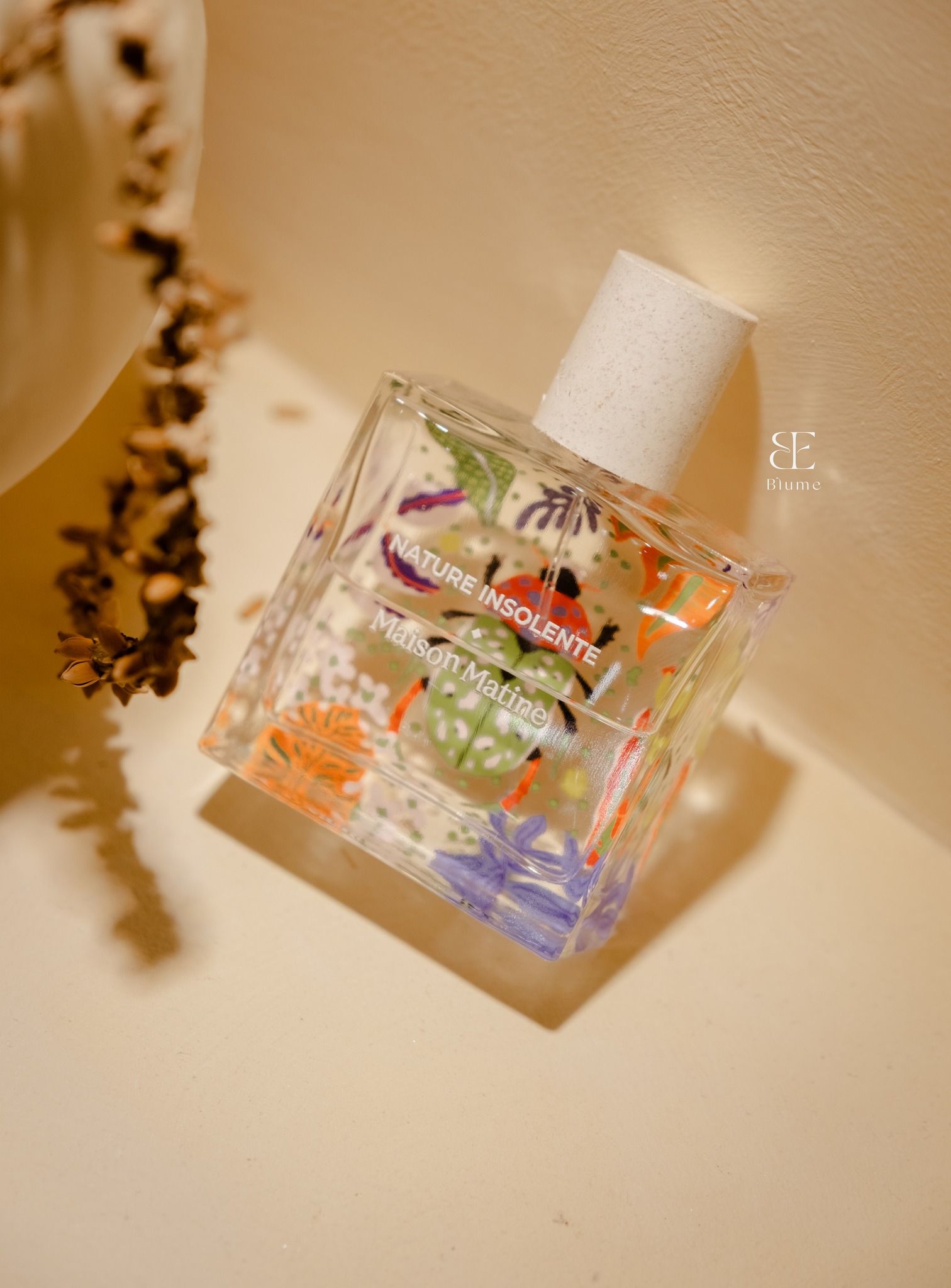  Maison Matine Nature Insolente 