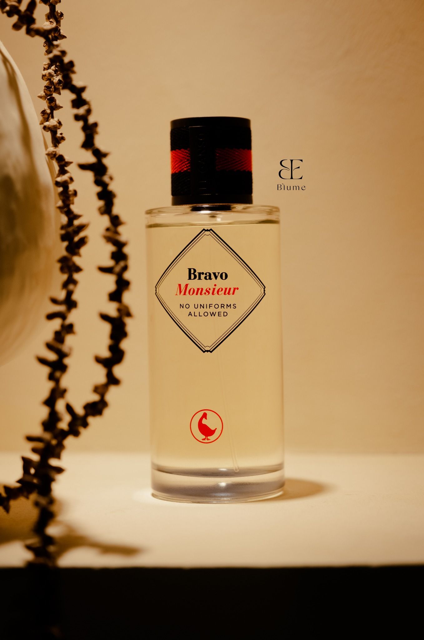  El Ganso Bravo Monsieur EDT 