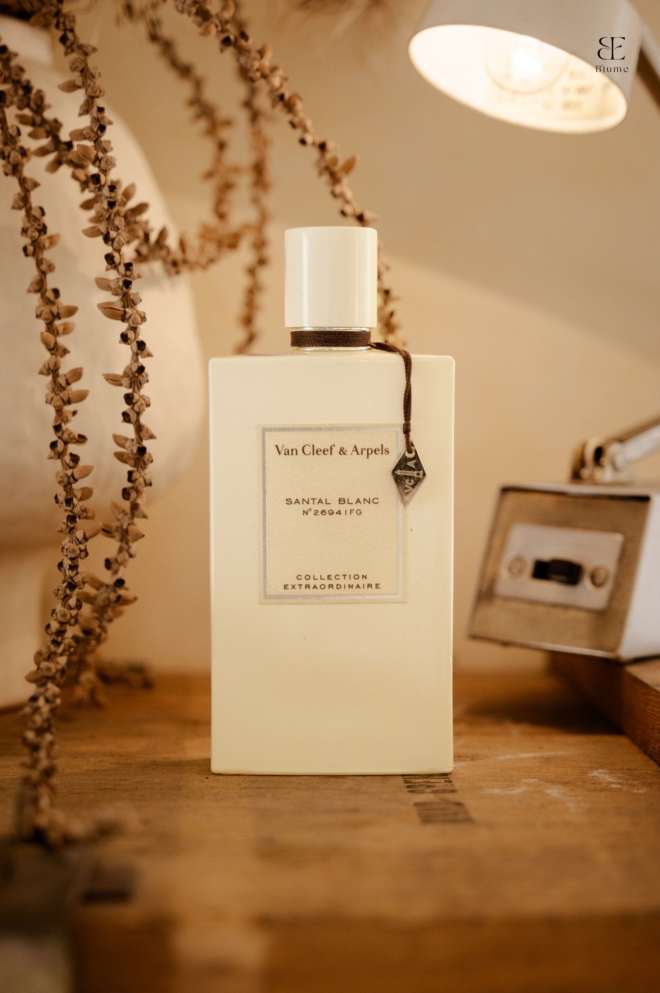 Van Cleef & Arpels Santal Blanc – Blume
