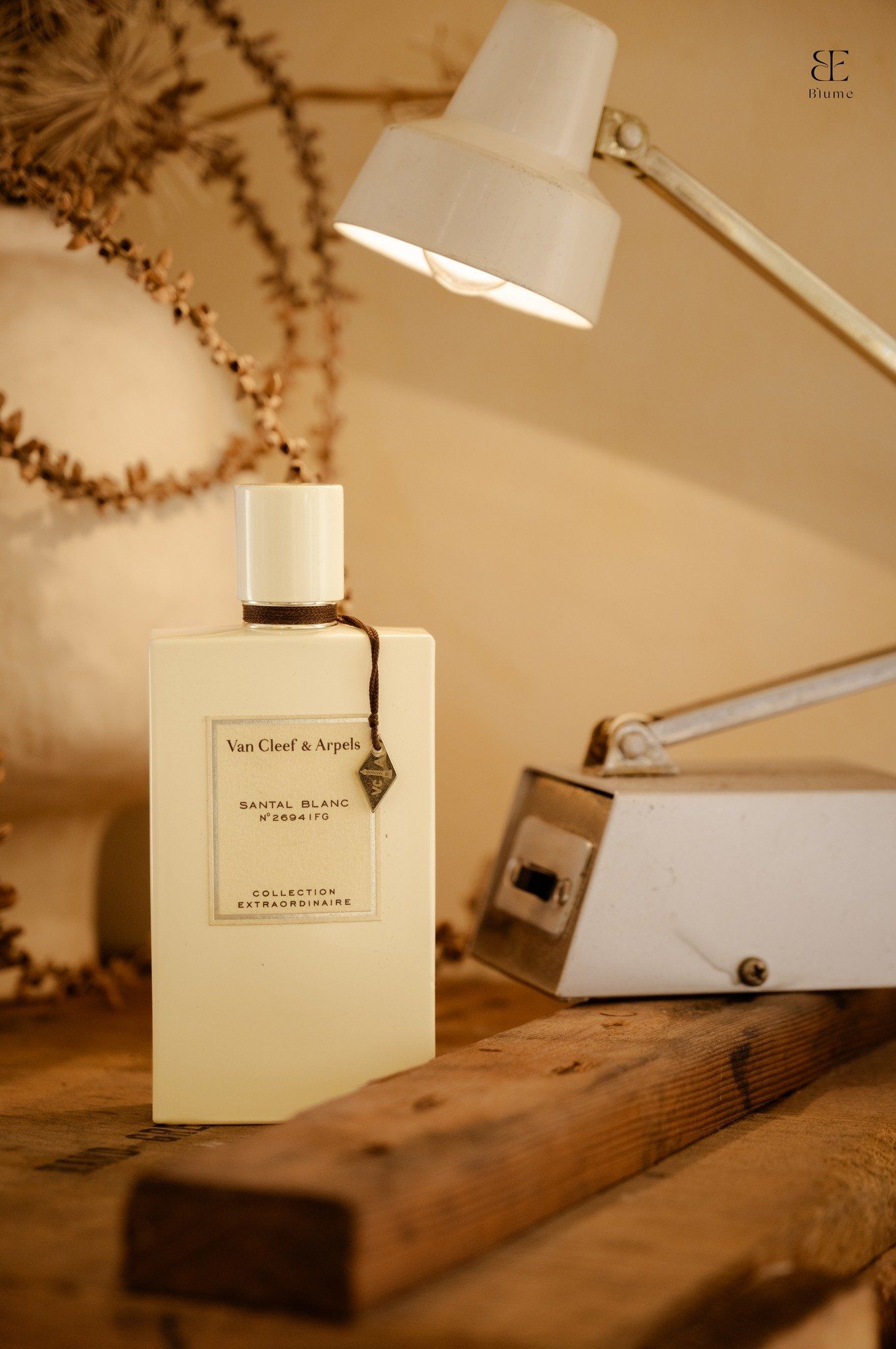  Van Cleef & Arpels Santal Blanc 