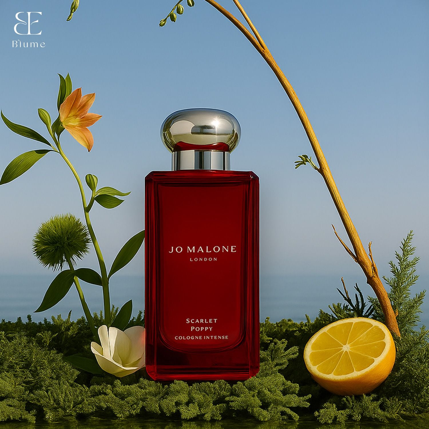 香水(女性用) JO MALON LONDON SCARLET POPPY ジョー マローン ロンドンの新作香水「スカーレット ポピー コロン