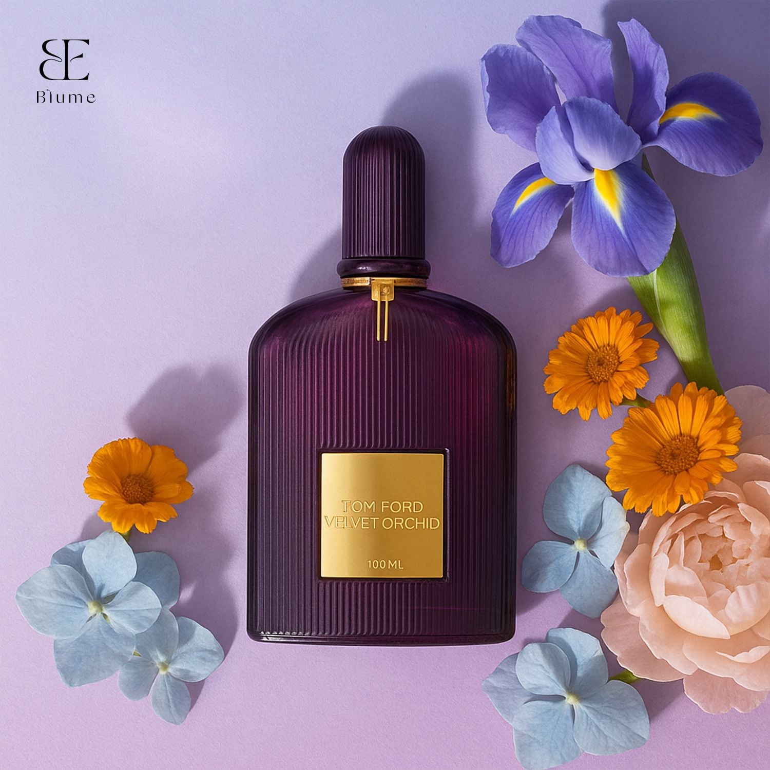 Tom Ford Velvet Orchid EDP – Blume