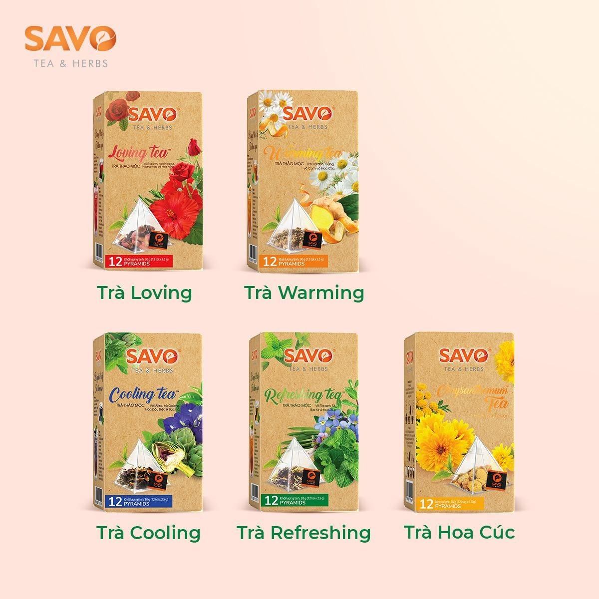  Trà SAVO Hoa Cúc - Túi Kim Tự Tháp (Hộp 12) 