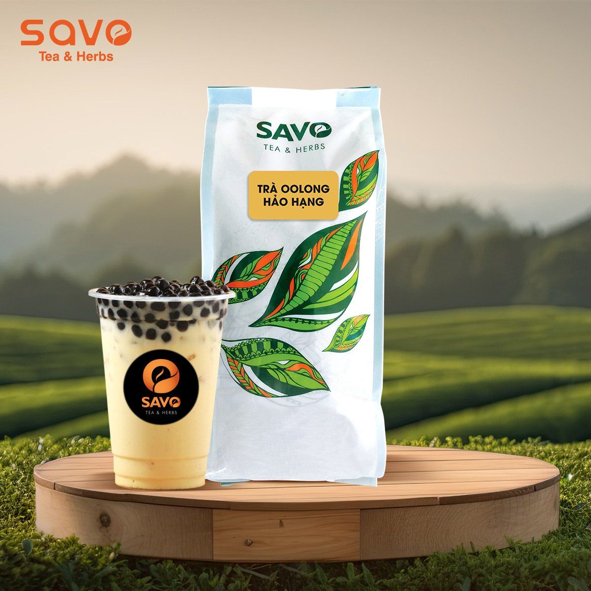  Trà SAVO Oolong Hảo Hạng 