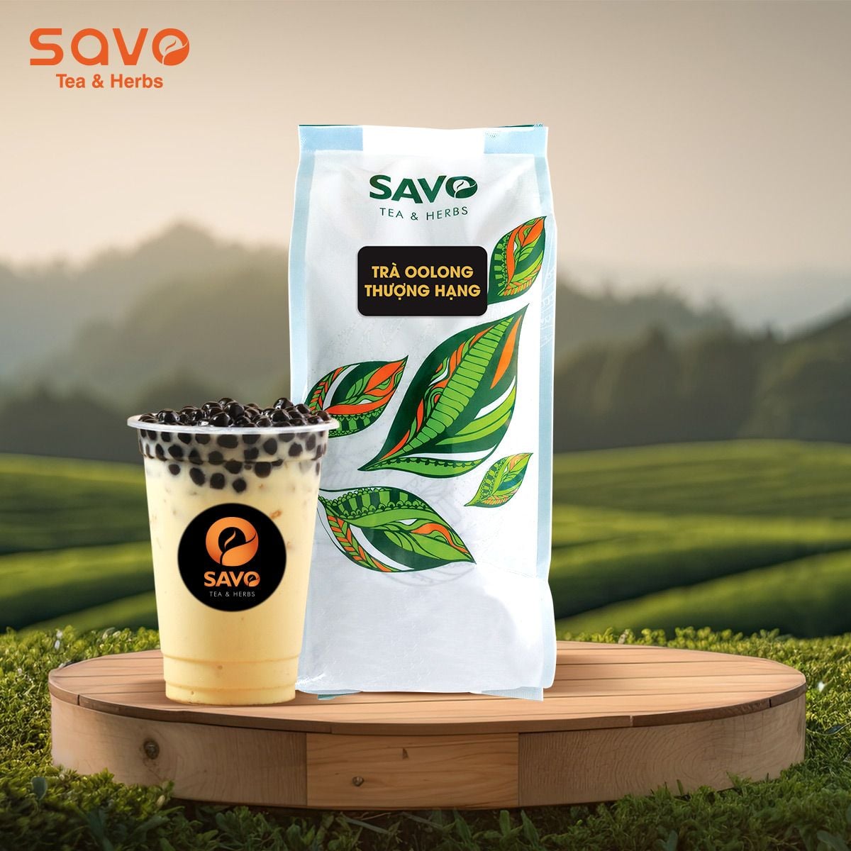  Trà SAVO Oolong Thượng Hạng 