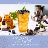  SAVO Việt Quất (Hộp 25) 