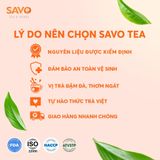  Trà SAVO Warming - Túi Kim Tự Tháp (Hộp 12) 