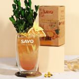  Trà SAVO Warming - Túi Kim Tự Tháp (Hộp 12) 