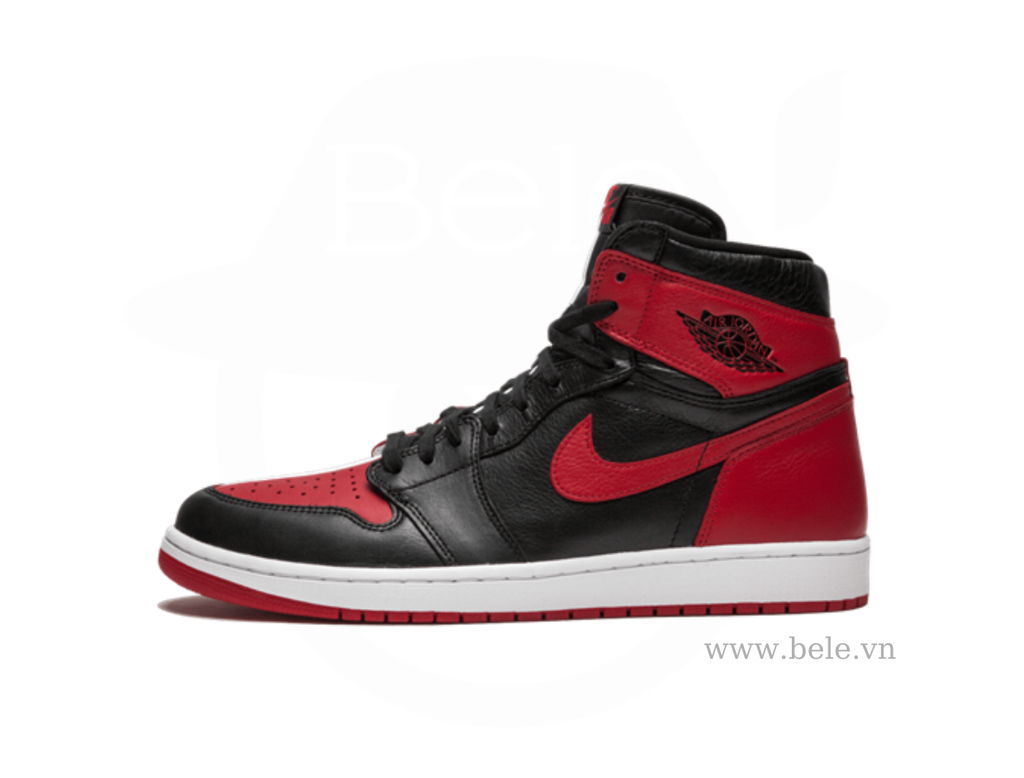 Air Jordan 1 High Homage To Home 861428 061